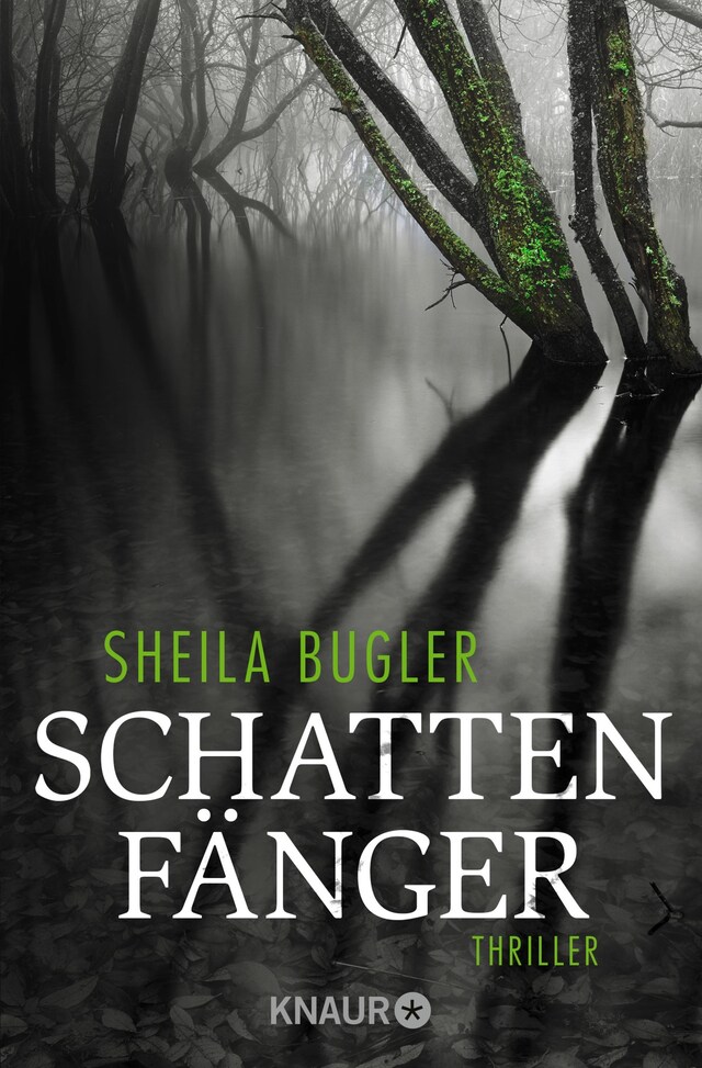 Buchcover für Schattenfänger