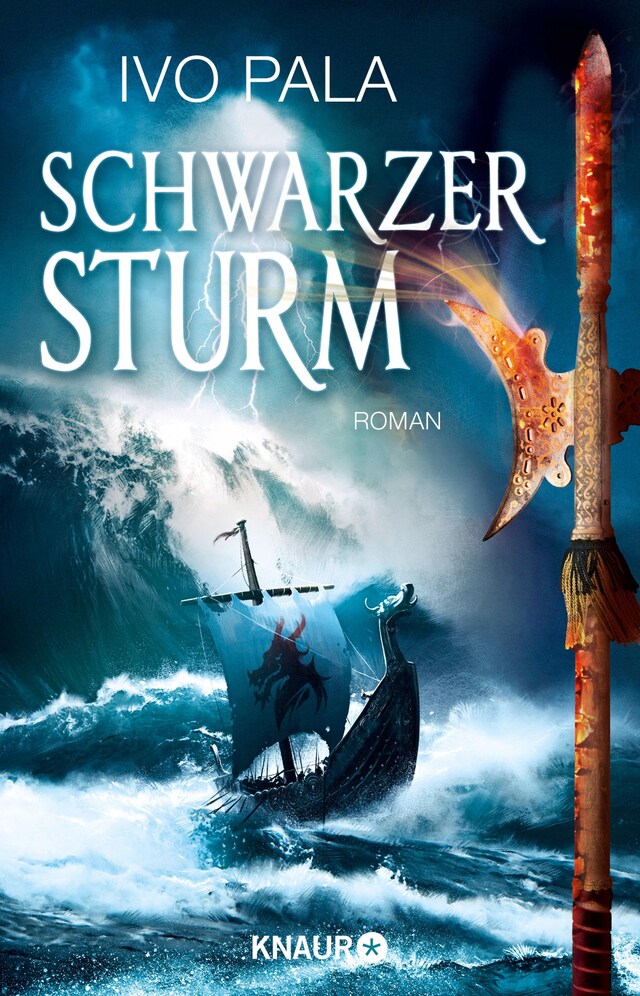 Boekomslag van Schwarzer Sturm