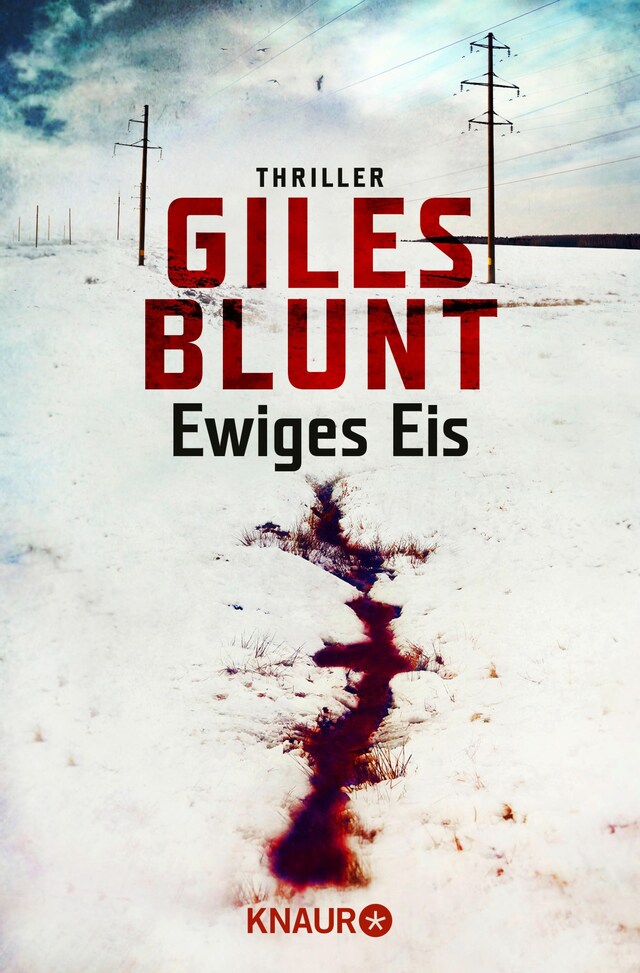 Couverture de livre pour Ewiges Eis