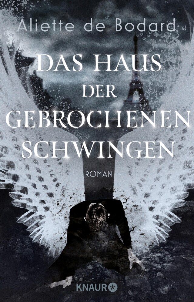 Portada de libro para Das Haus der gebrochenen Schwingen