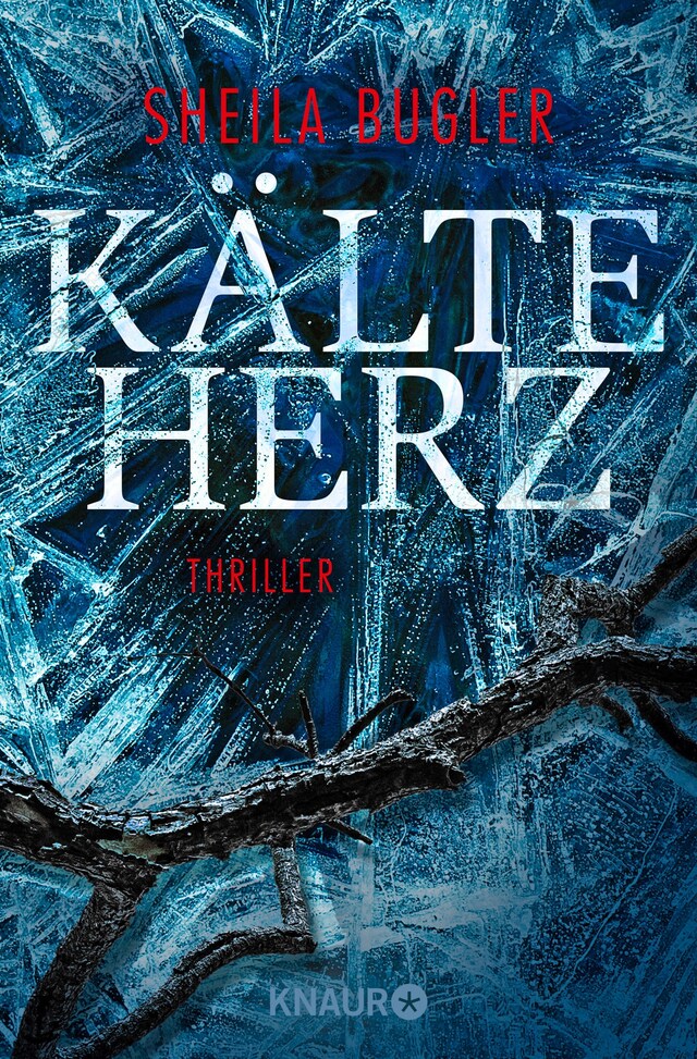 Buchcover für Kälteherz