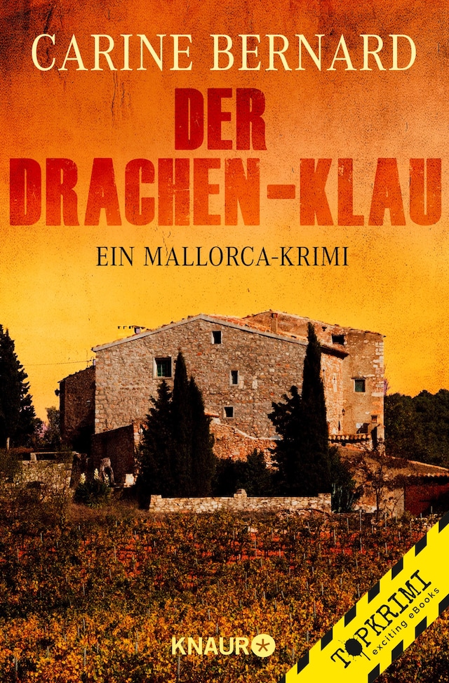 Book cover for Der Drachen-Klau