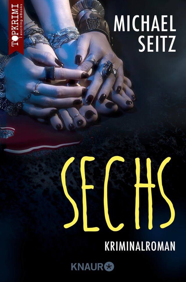 Couverture de livre pour Sechs