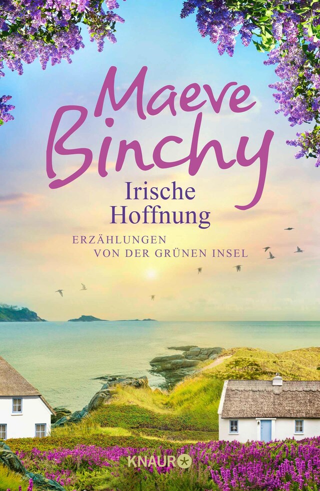 Book cover for Irische Hoffnung