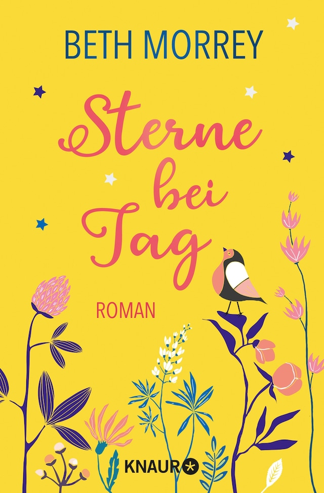Book cover for Sterne bei Tag