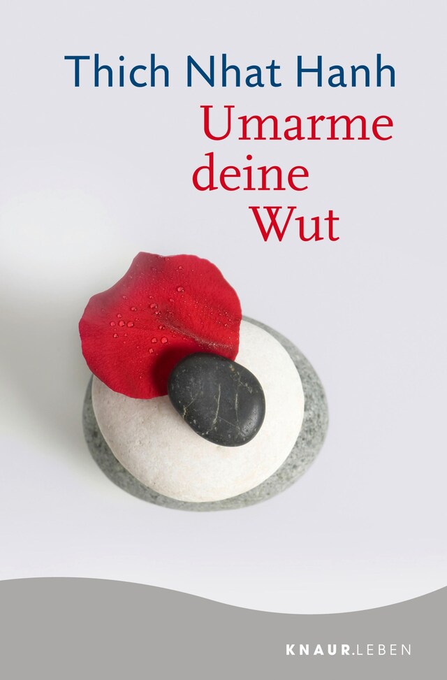 Couverture de livre pour Umarme deine Wut