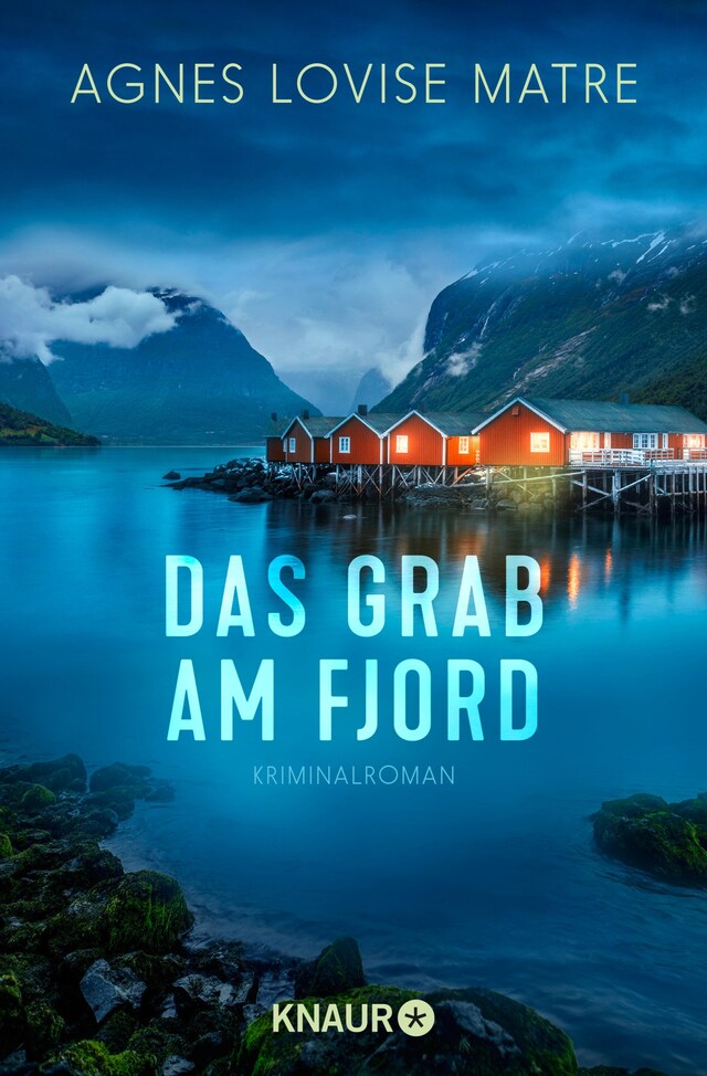 Couverture de livre pour Das Grab am Fjord