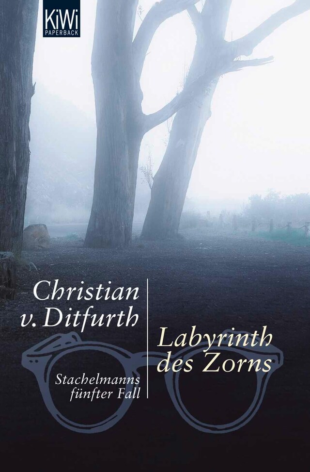 Kirjankansi teokselle Labyrinth des Zorns