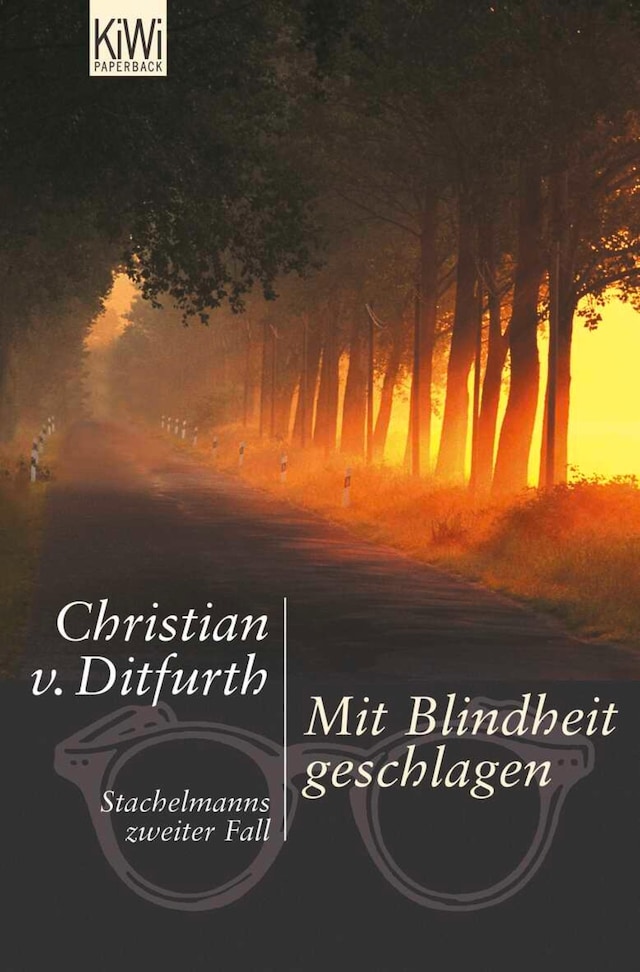 Couverture de livre pour Mit Blindheit geschlagen