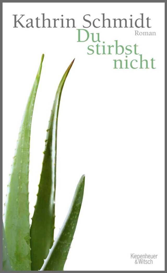 Book cover for Du stirbst nicht