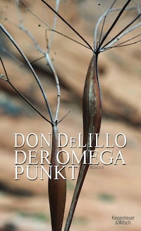 Der Omega-Punkt
