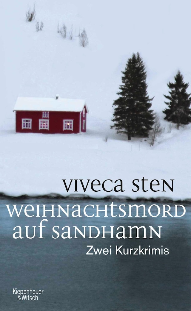 Book cover for Weihnachtsmord auf Sandhamn