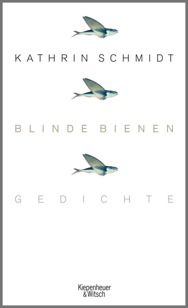 Buchcover für Blinde Bienen