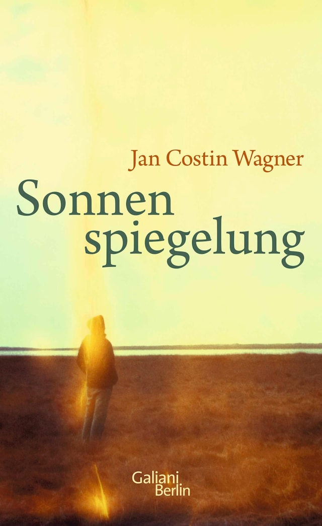 Book cover for Sonnenspiegelung
