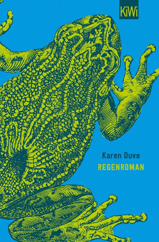 Book cover for Regenroman