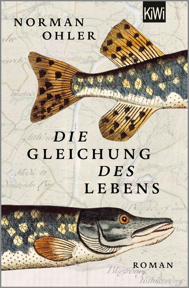 Bogomslag for Die Gleichung des Lebens