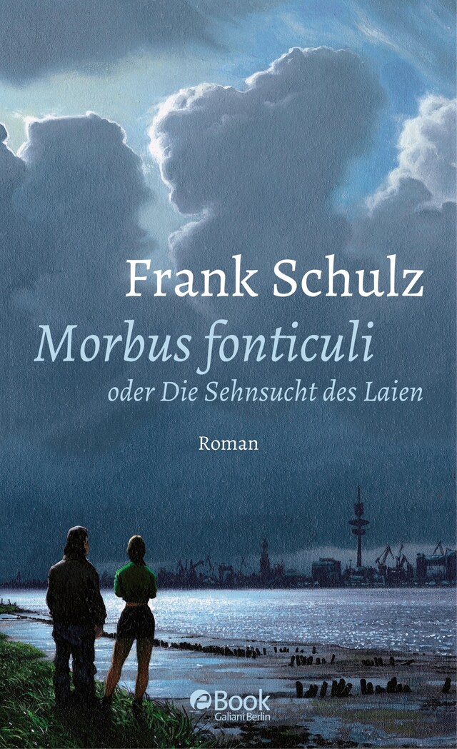 Book cover for Morbus Fonticuli oder Die Sehnsucht des Laien