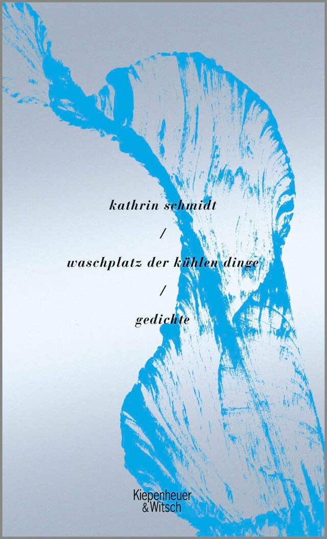 Book cover for waschplatz der kühlen dinge