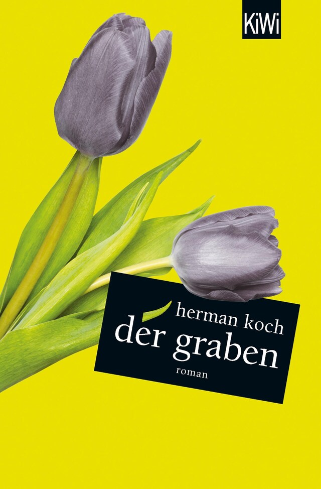 Book cover for Der Graben