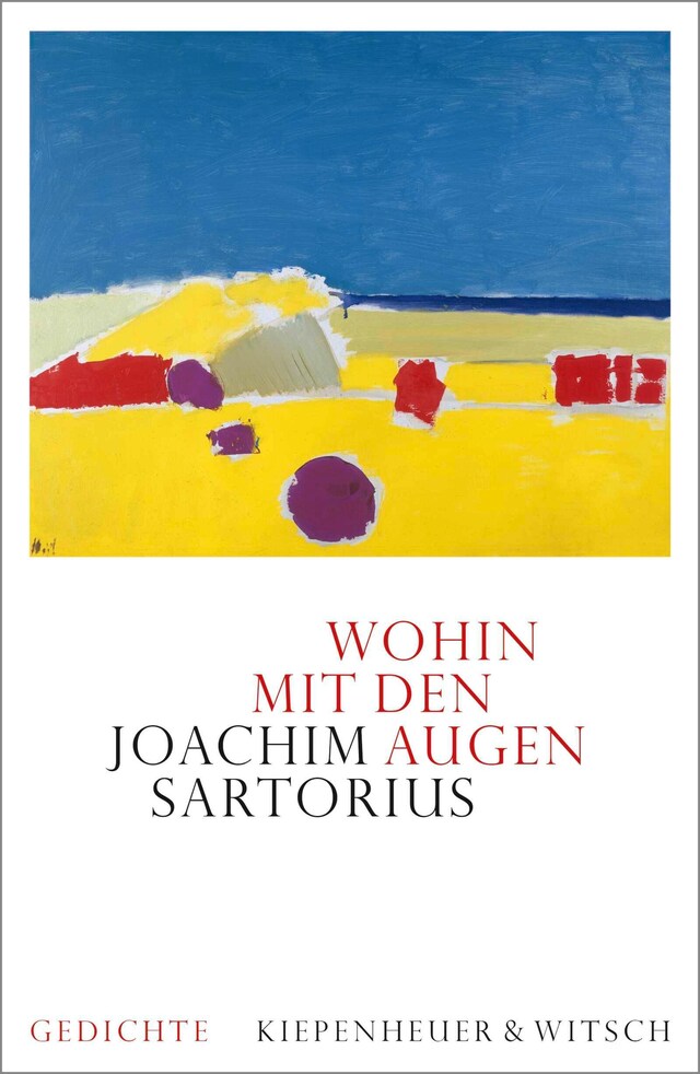 Book cover for Wohin mit den Augen