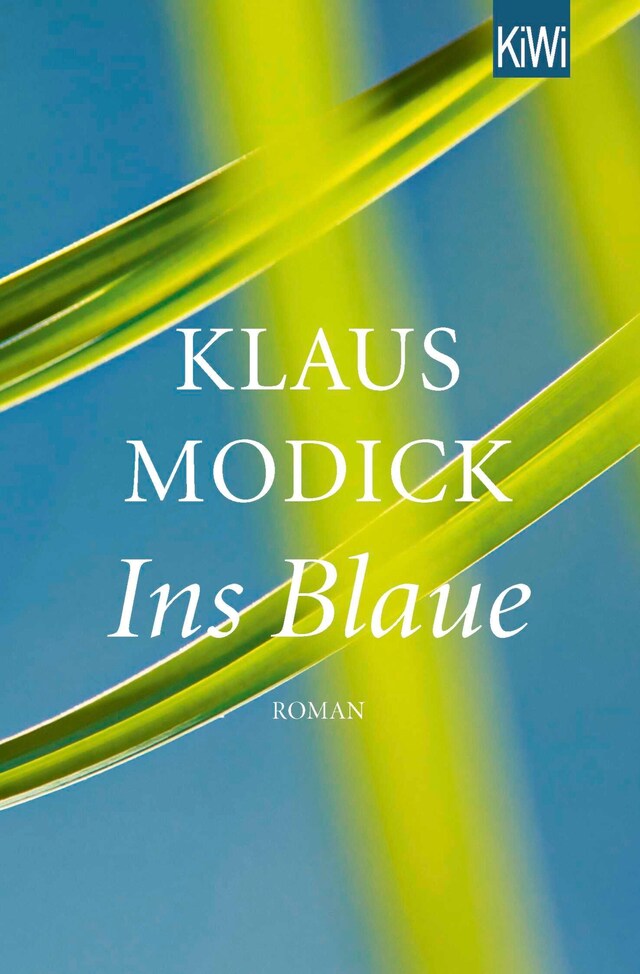 Buchcover für Ins Blaue