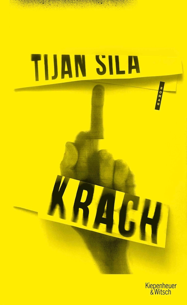 Book cover for Krach