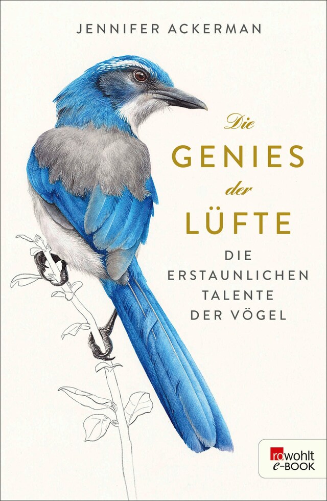 Book cover for Die Genies der Lüfte