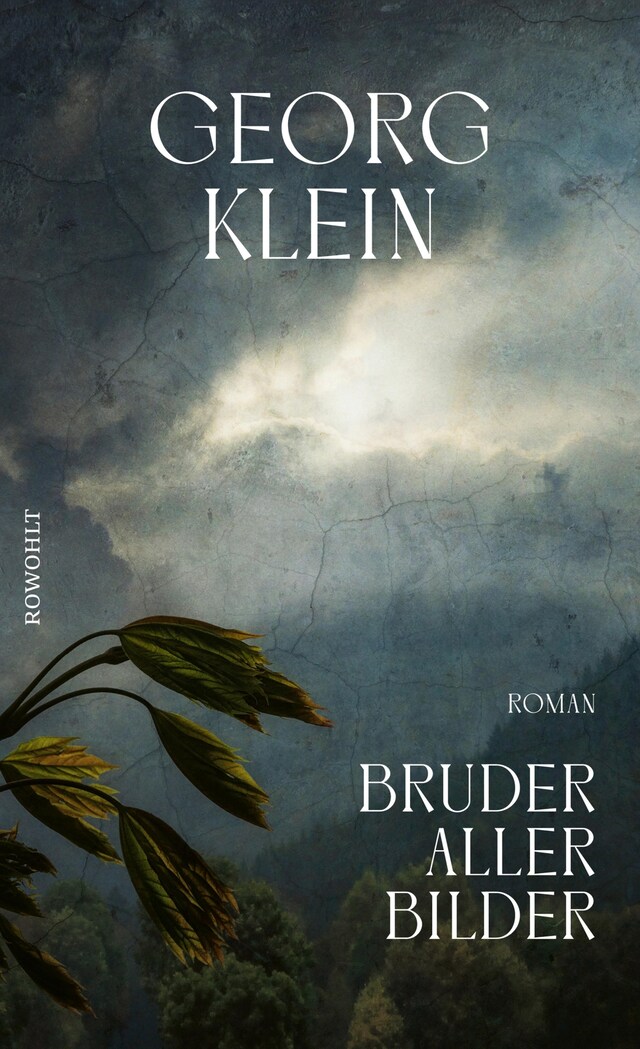 Okładka książki dla Bruder aller Bilder