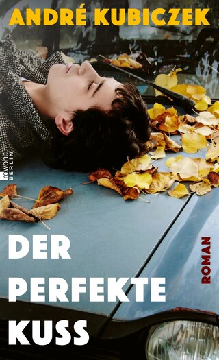 Der perfekte Kuss bookCoverFor