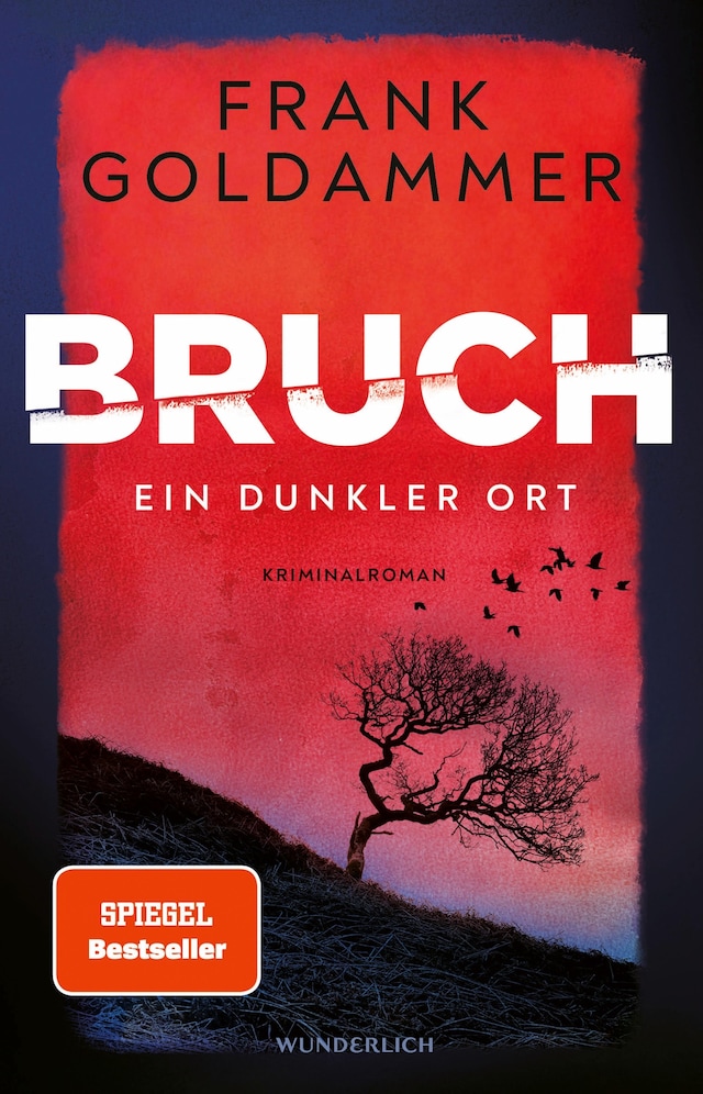 Book cover for Bruch: Ein dunkler Ort