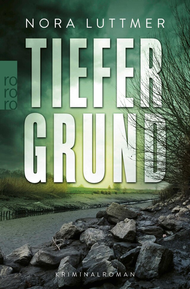 Copertina del libro per Tiefergrund