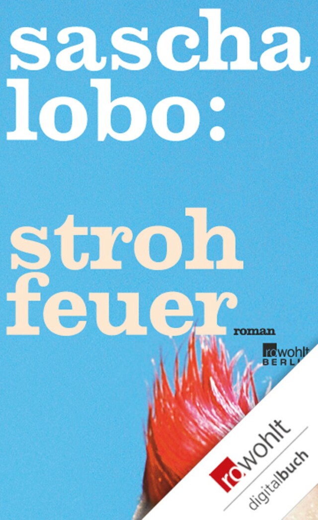 Copertina del libro per Strohfeuer