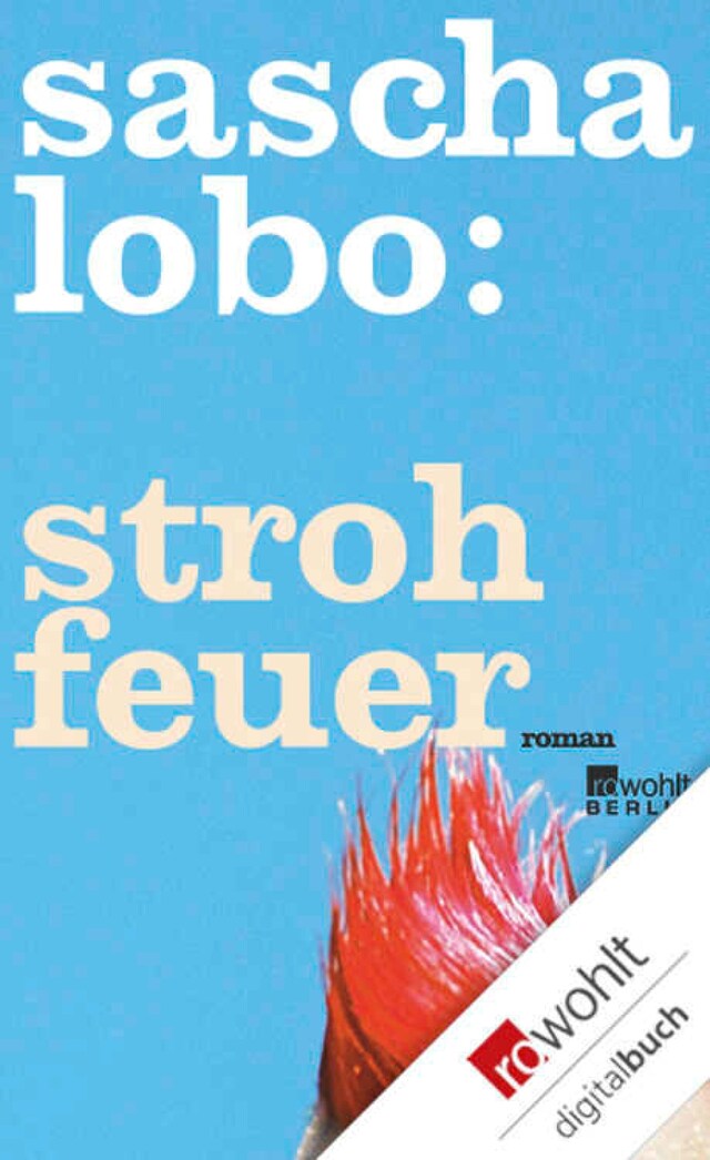 Buchcover für Strohfeuer