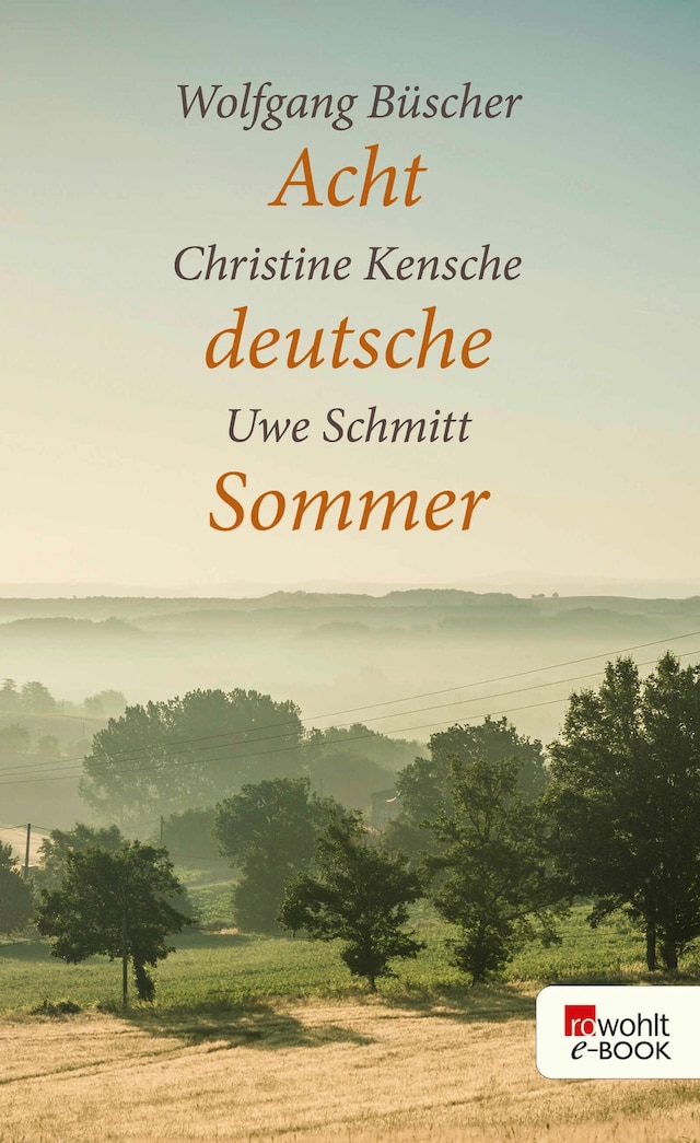 Book cover for Acht deutsche Sommer