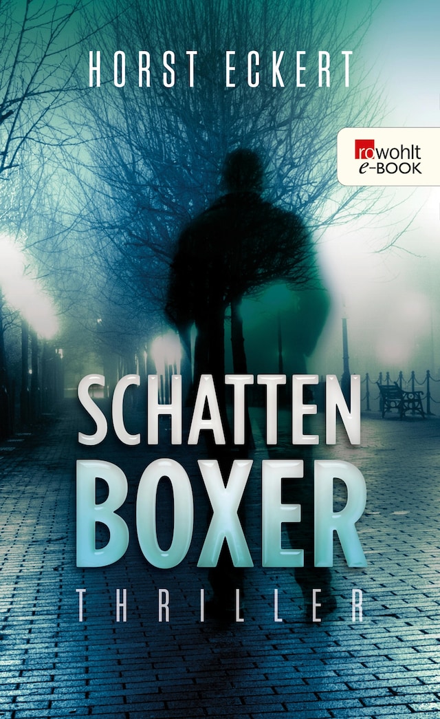 Book cover for Schattenboxer