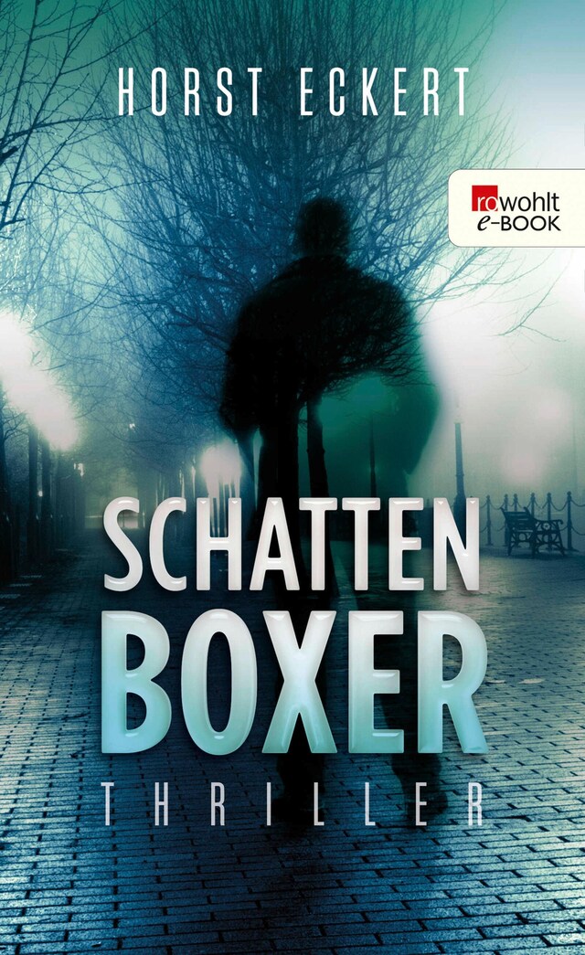 Buchcover für Schattenboxer