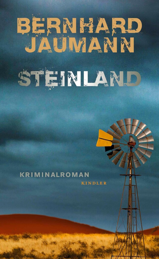 Book cover for Steinland