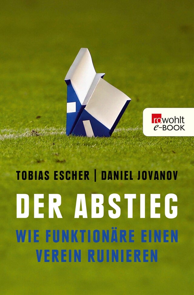 Book cover for Der Abstieg