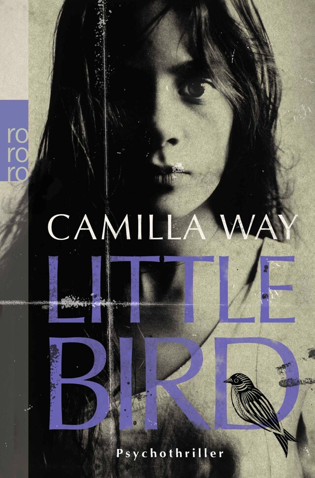 Book cover for Little Bird