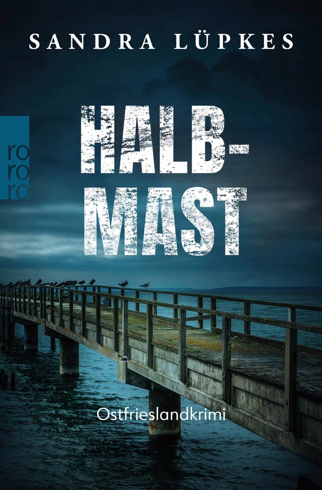 Book cover for Halbmast