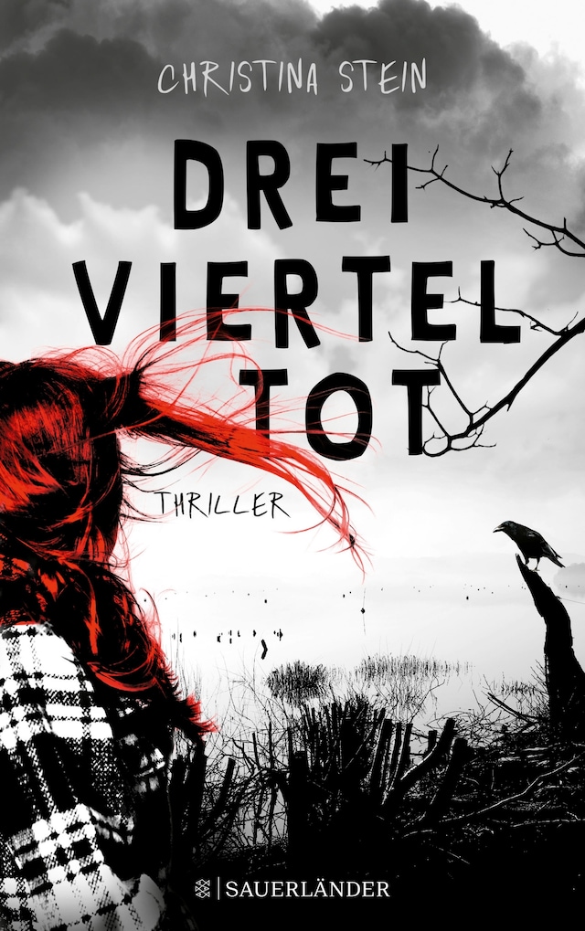 Book cover for Dreivierteltot