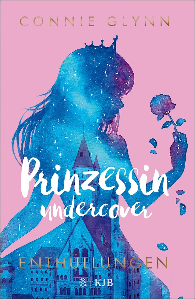 Okładka książki dla Prinzessin undercover – Enthüllungen