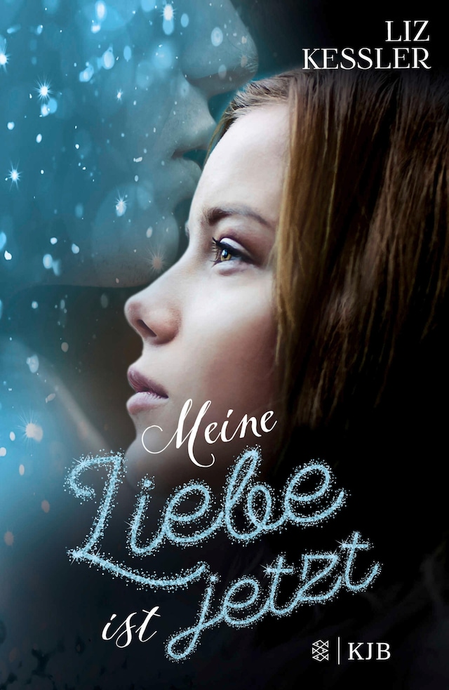 Book cover for Meine Liebe ist jetzt