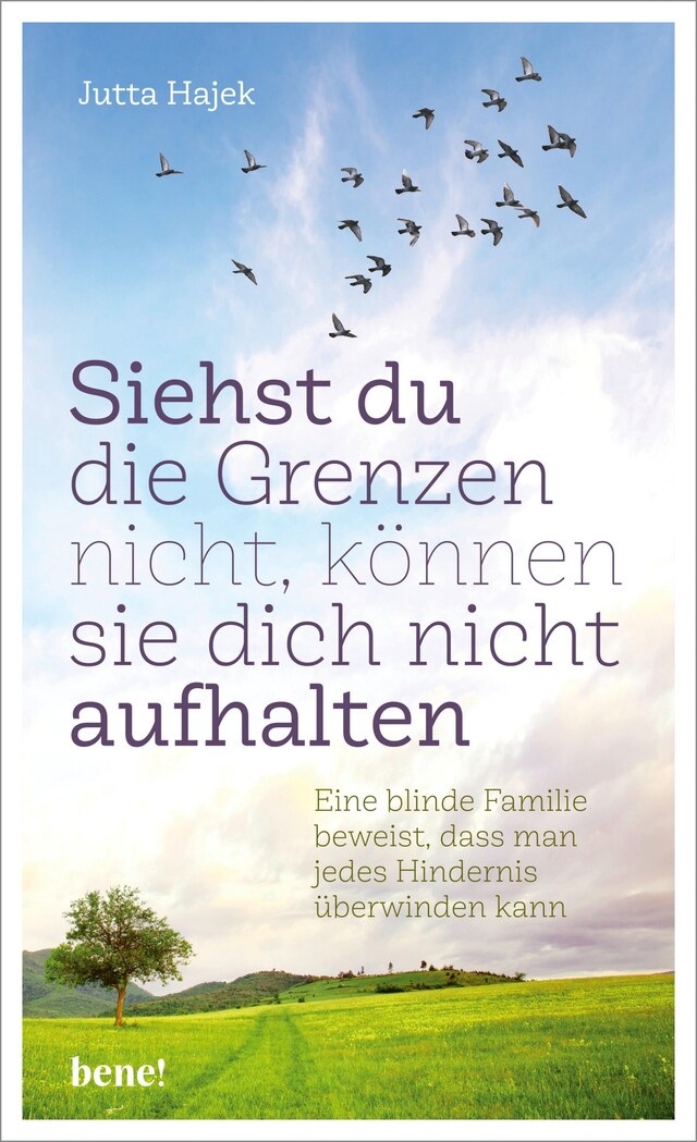 Buchcover für Siehst du die Grenzen nicht, können sie dich nicht aufhalten