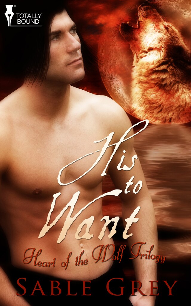 Book cover for His to Want