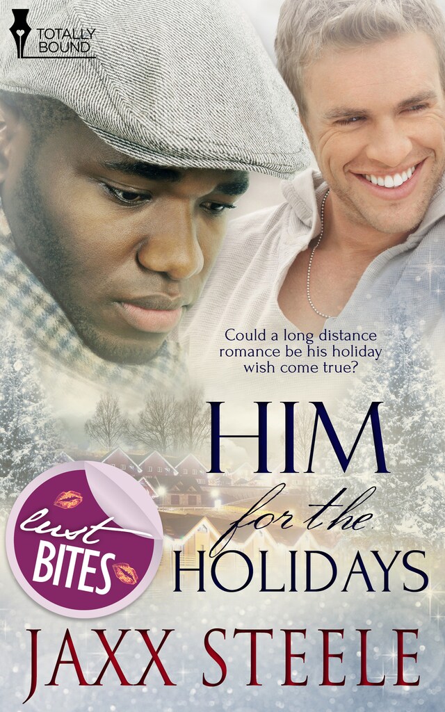 Him for the Holidays Buchcover für Him for the Holidays