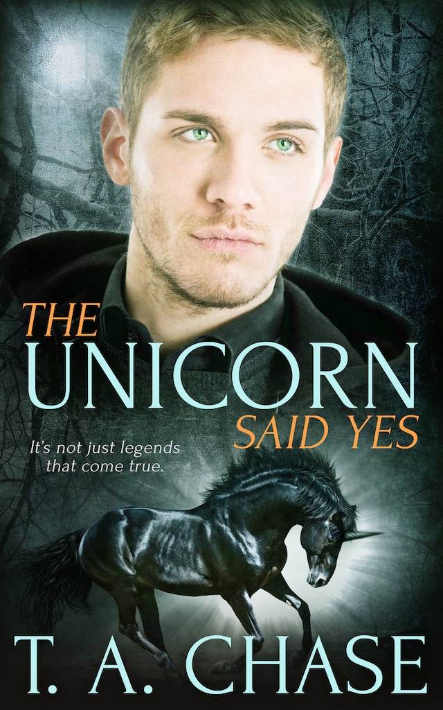 The Unicorn Said Yes