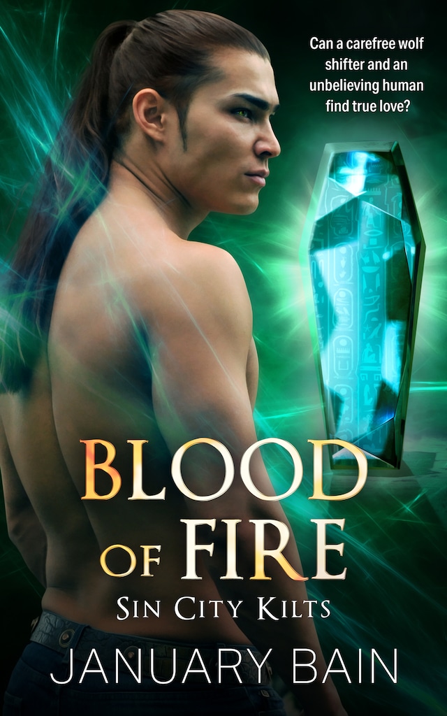 Book cover for Blood of Fire