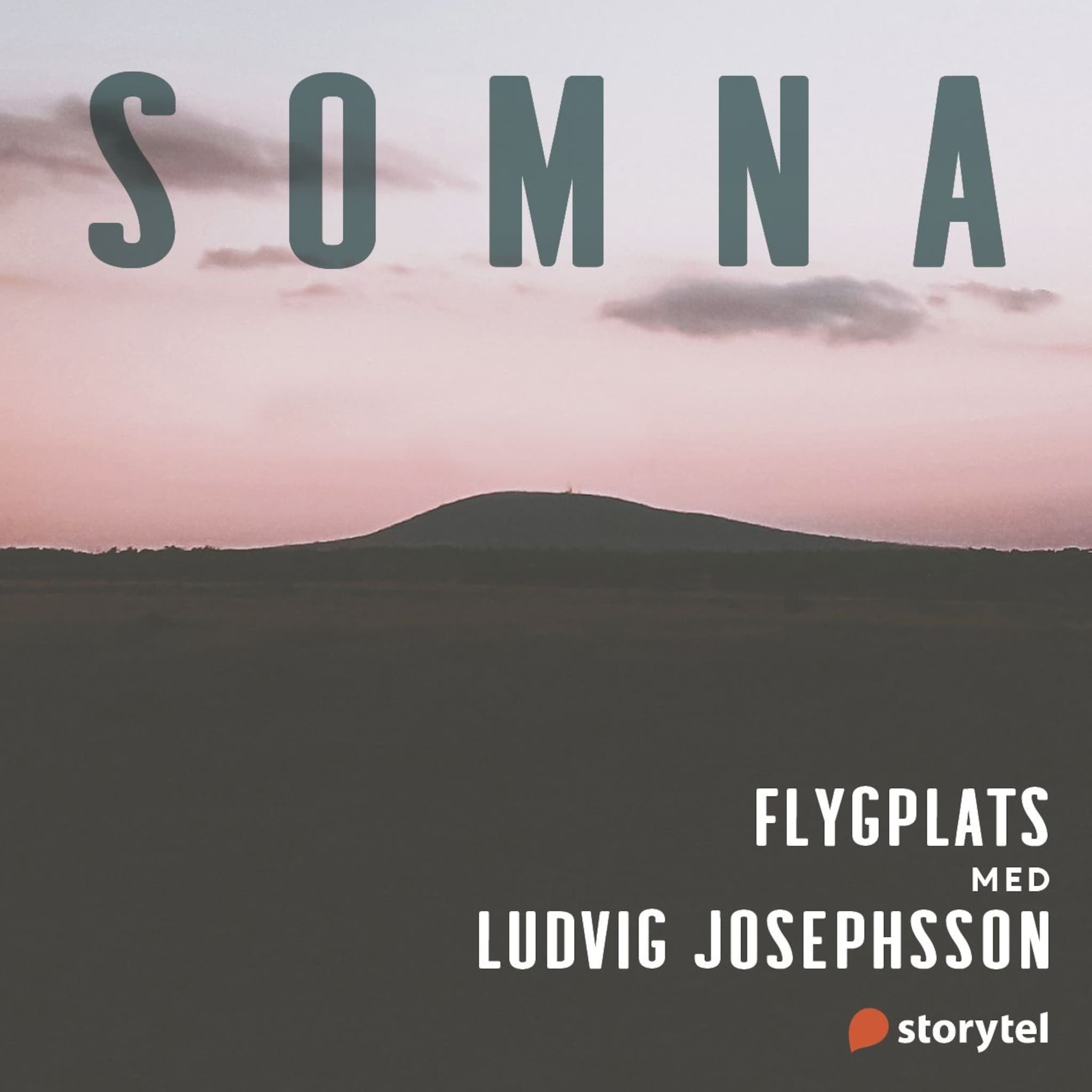 Flygplats