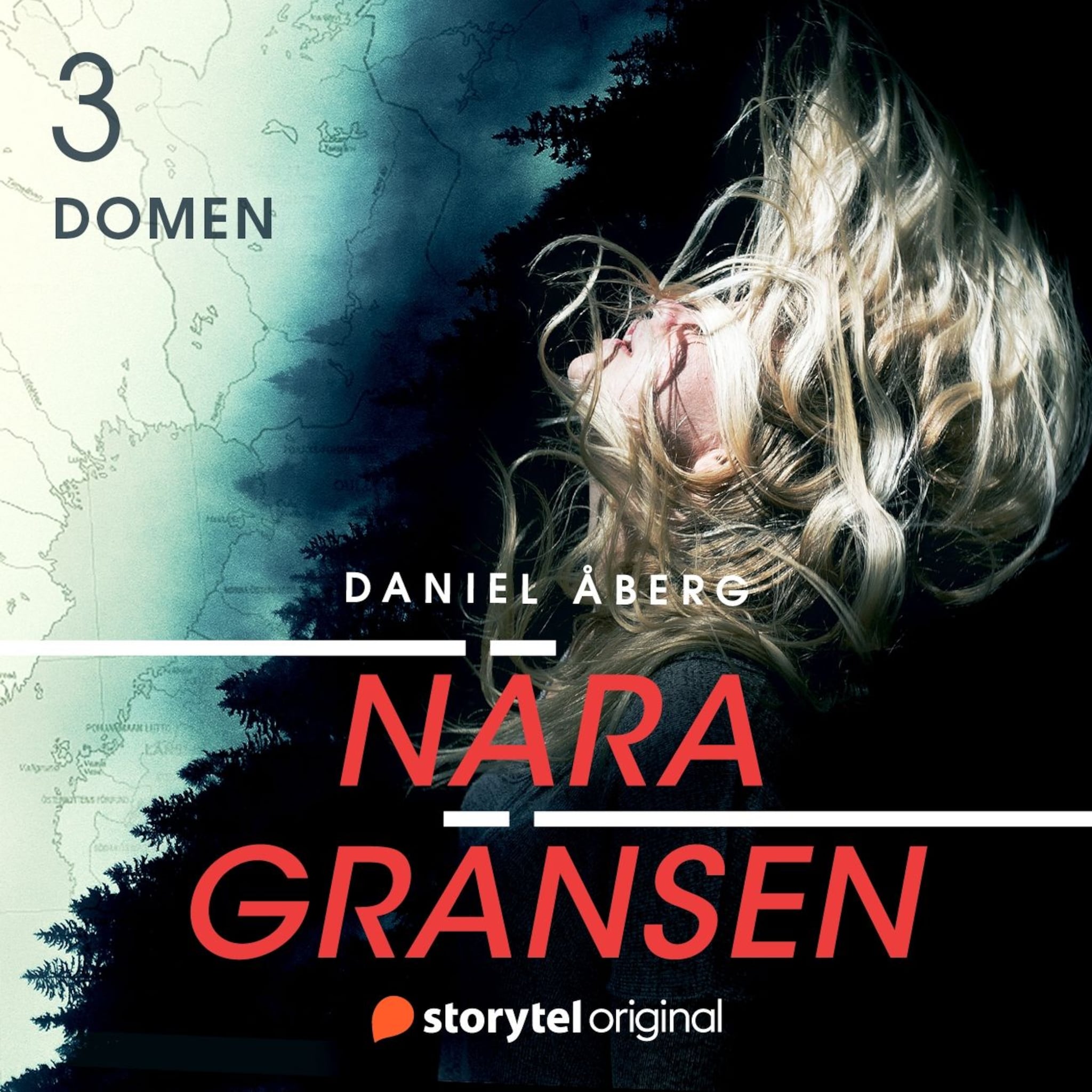 Nära gränsen – Domen